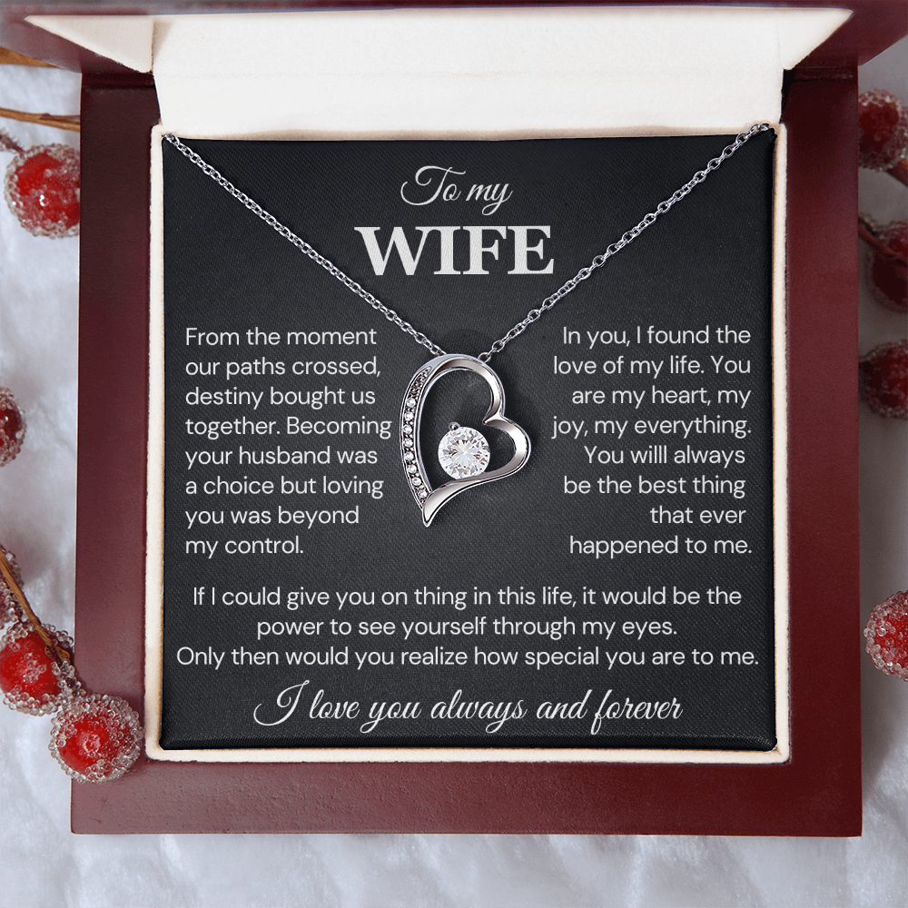 To my Wife Necklace, Destiny Bought us together