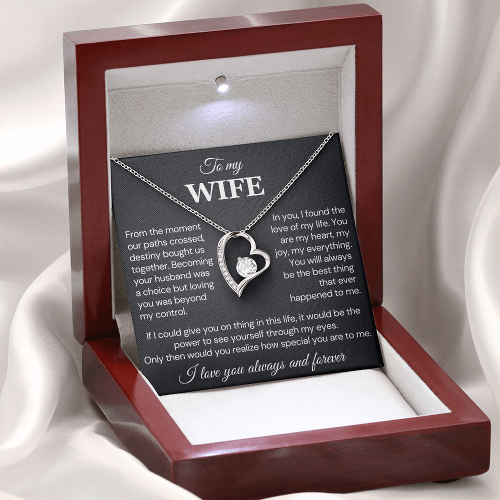 To my Wife Necklace, Destiny Bought us together