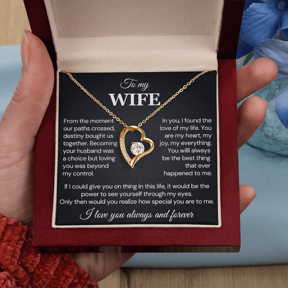 To my Wife Necklace, Destiny Bought us together