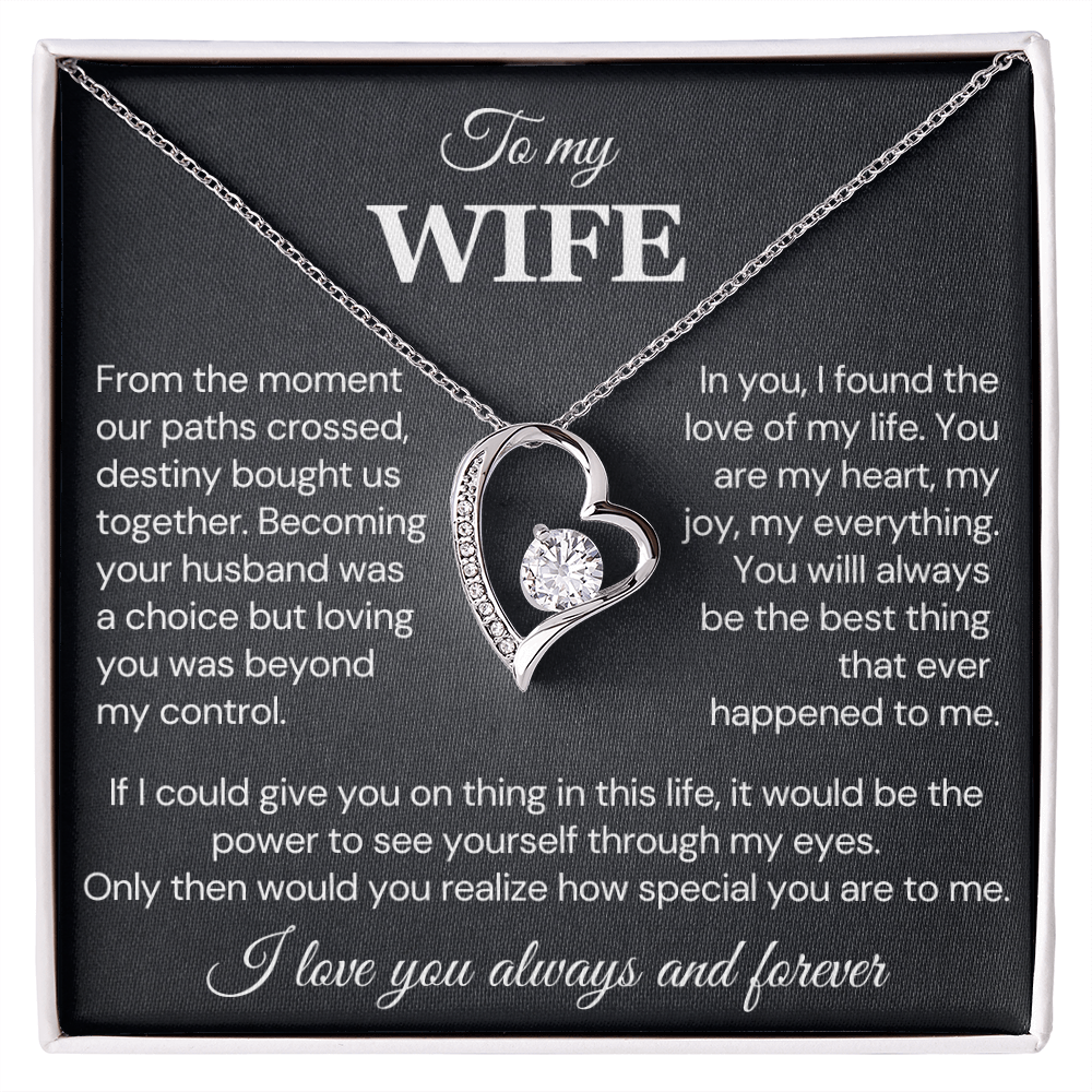 To my Wife Necklace, Destiny Bought us together