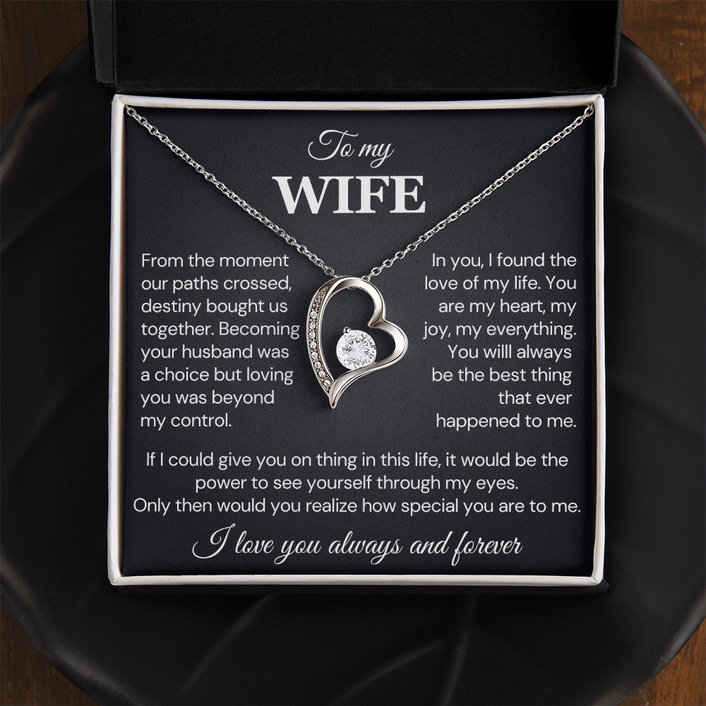 To my Wife Necklace, Destiny Bought us together