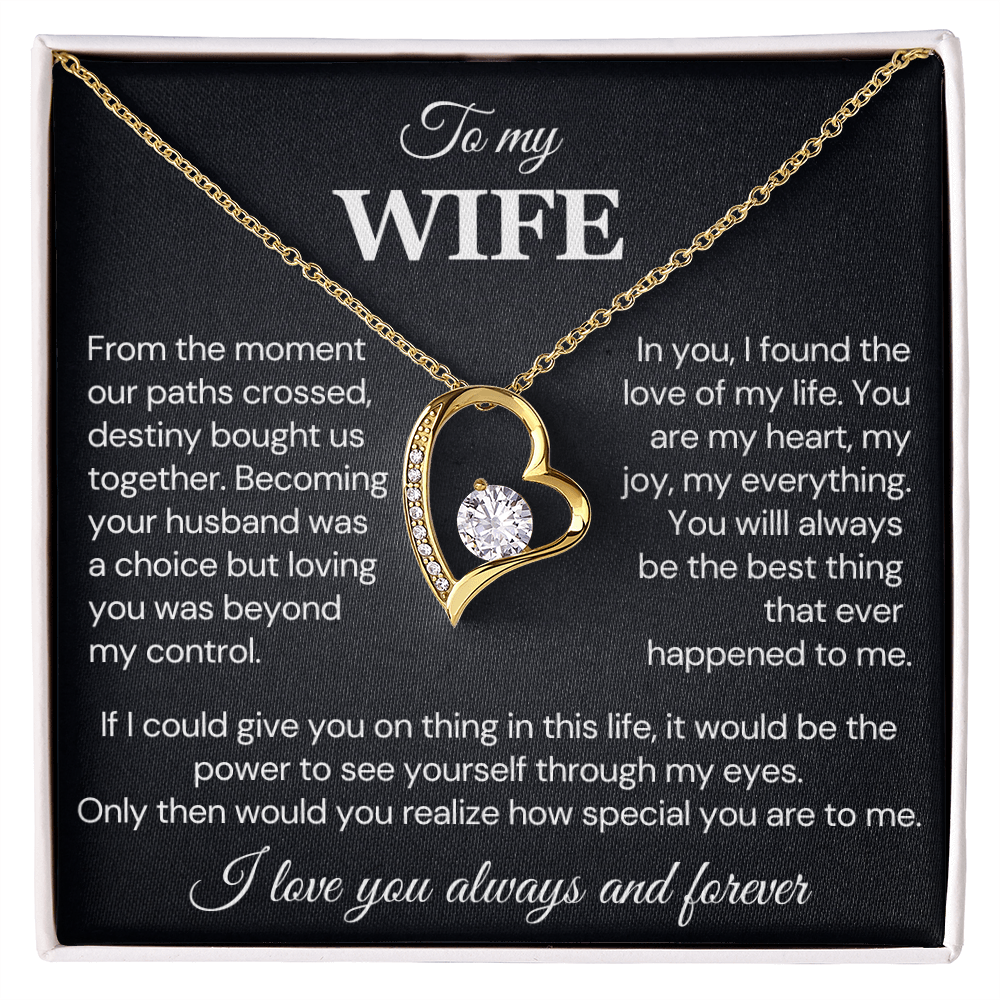 To my Wife Necklace, Destiny Bought us together