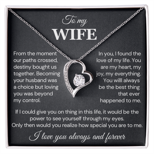 To my Wife Necklace, Destiny Bought us together