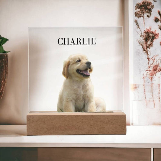 Personalized Custom Pet Photo Acrylic Plaque with Names | Unique Pet Keepsake Gift | Pet memorial gift for pet lover, Dog, Cat, Bird, Rabbit